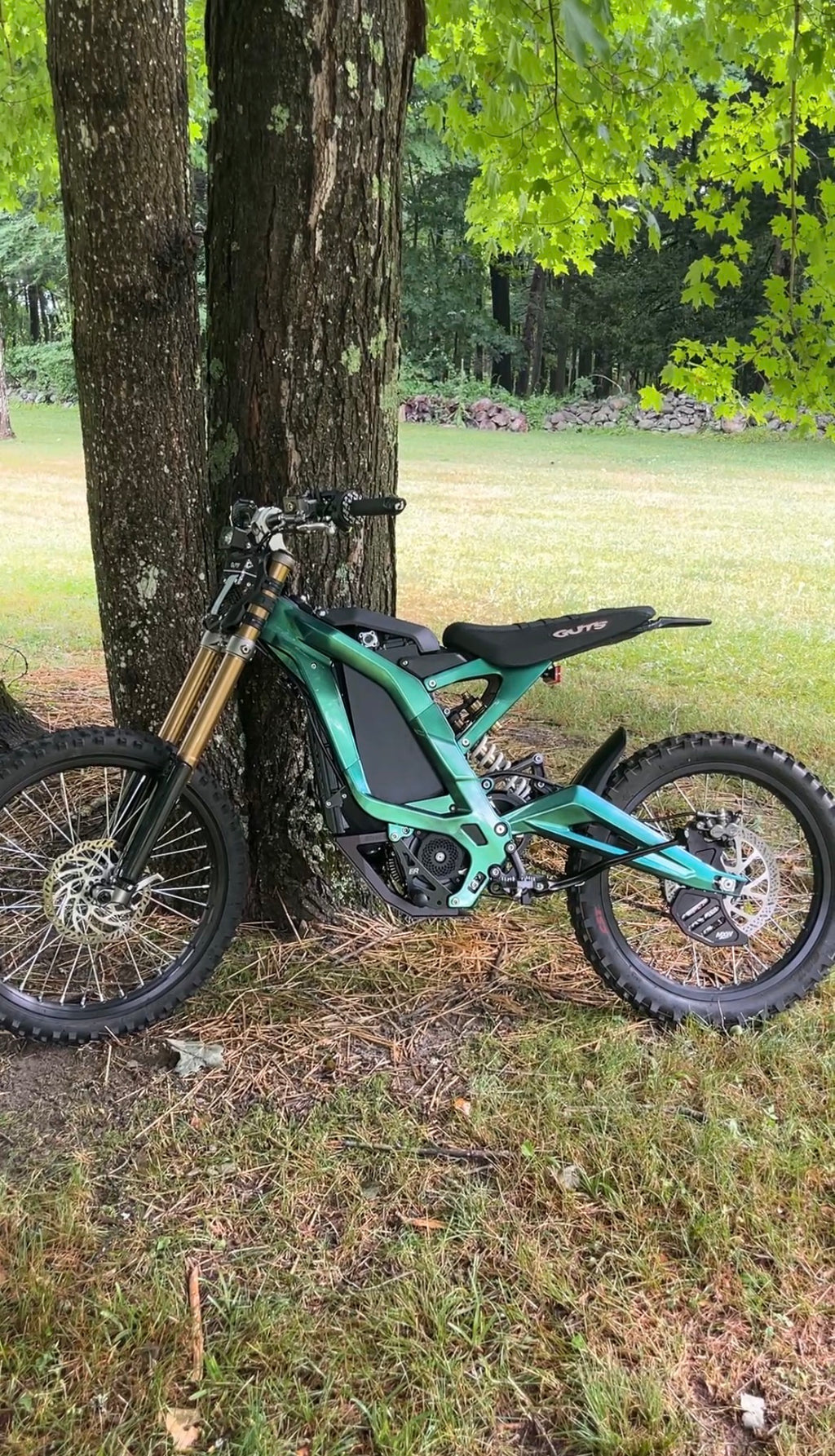 Surron LBX Frame-Guards